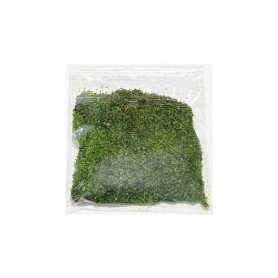 Aonori Alga Verde in polvere 20g. AONORIKO
