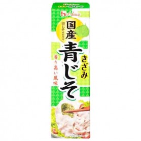 Pasta di Perilla Verde tritato in tubetto 40g, House