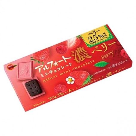 Alfort Mini Biscotti al Cioccolato 12 pezzi 60g, Bourbon