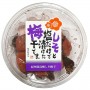 Shiso Umeboshi Prugna in Salamoglia con Foglie 140g, Sekimoto